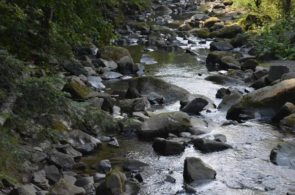 Piedras Río agua naturaleza bosque — Foto de Stock