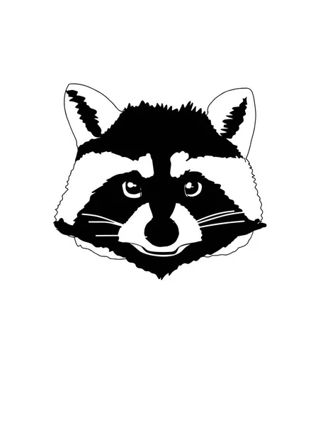 cartoon raccoon face illustration