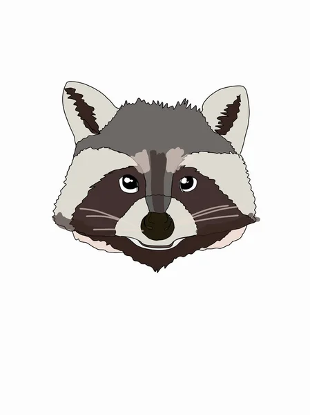 Cartoon Raccoon Face Illustration — Stock Photo, Image