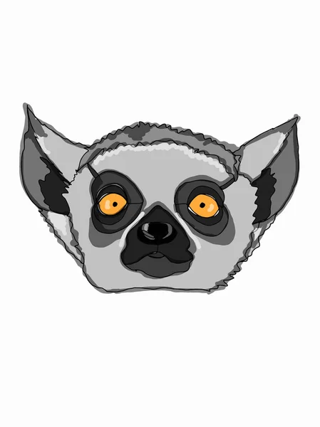 Lemur Head Illustration — Stock Photo, Image