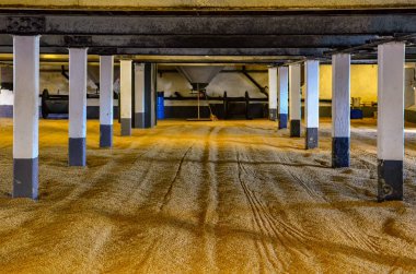 Arpa malt damıtım viski süreci, İskoçya, Birleşik Krallık yapma zemindeki Maltlama üzerinde