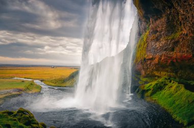 Manzaralı güzel Seljalandsfoss şelale İzlanda, Europe