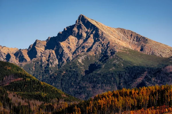 山峰科里凡在高塔特拉山 具有美丽的秋色 斯洛伐克 — 图库照片