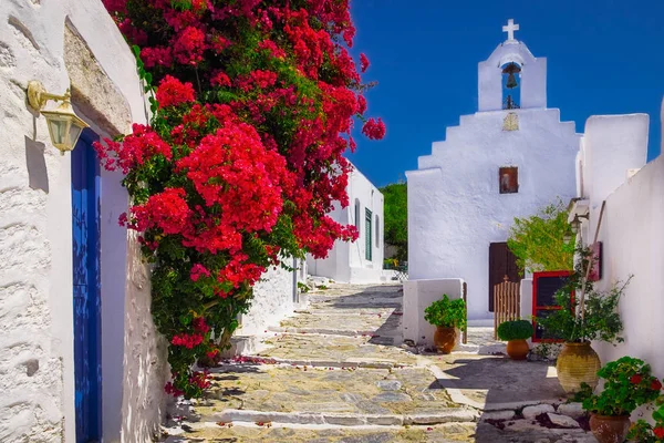 Geleneksel Renkli Akdeniz Caddesi Çiçek Kilise Amorgos Kiklad Adaları Yunanistan — Stok fotoğraf