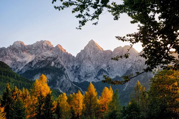 Paisaje vista de los picos de montaña y colorido follaje otoñal, Tr —  Fotos de Stock