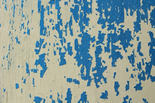 Old sheet of plywood with shabby blue paint. Close-up. Background. Texture.