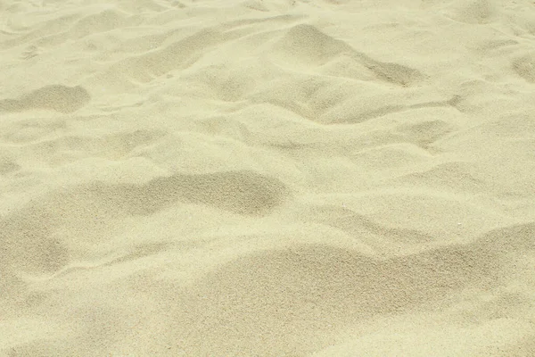 Beautiful shell sand on the beach. Close-up. Background. Texture.