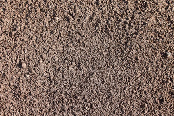 The soil in the garden. Close-up. Background. Texture.