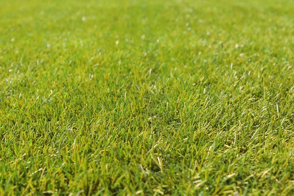 Beautiful bright green grass. Artificial turf Close-up. Background. Texture.