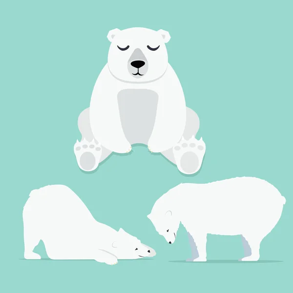 Conjunto Vetores Urso Polar Bonito —  Vetores de Stock