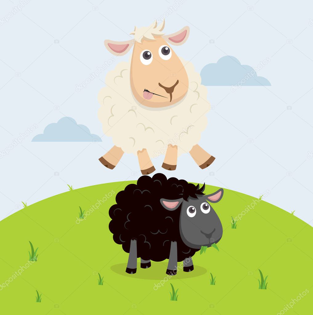 Sheep jumping over black sheep