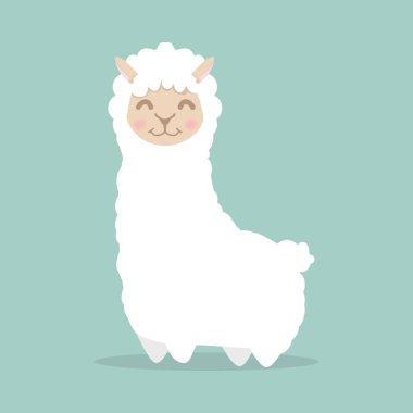 Lama alpaka kabarık vektör