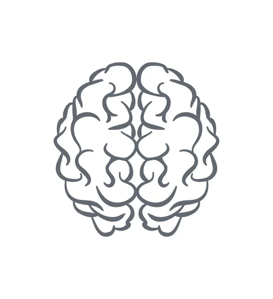 Vetor Contorno Cérebro Humano — Vetor de Stock