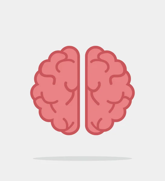 Vecteur Cérébral Créatif Fla — Image vectorielle
