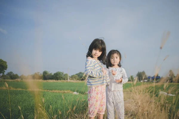 Two Dauthers Playing Wheat Field — Stock Photo, Image