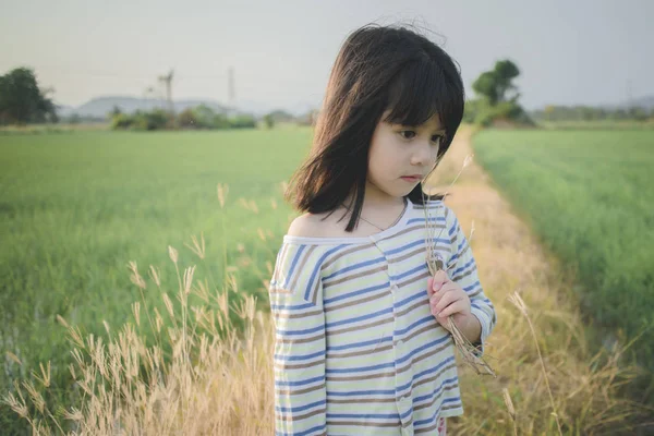 Little Girl Playing Wheat Field — Stock Photo, Image