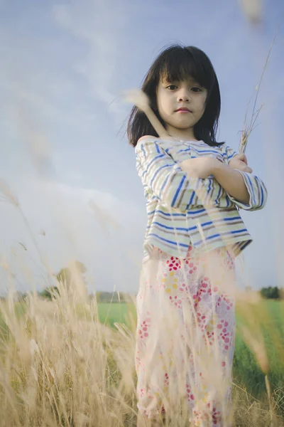 buğday tarlasında küçük kız sonrası 