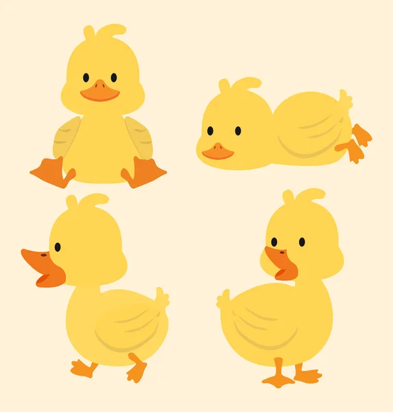 Conjunto Desenhos Animados Bonito Patos Amarelos — Vetor de Stock