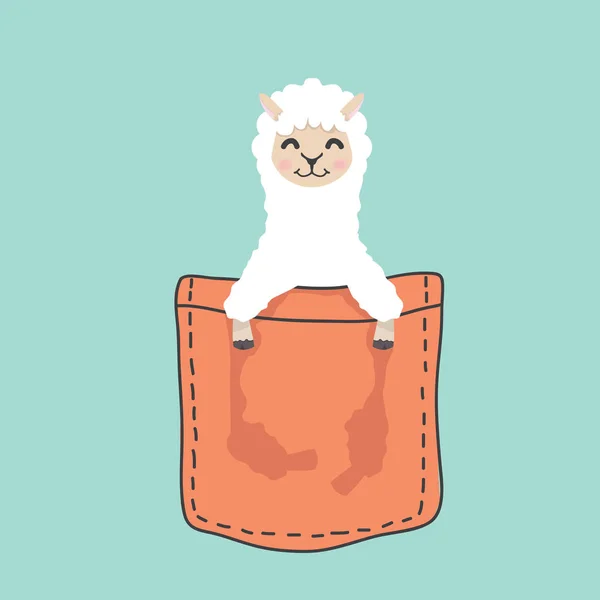 Llama Alpakové Obličej Kapsy — Stockový vektor