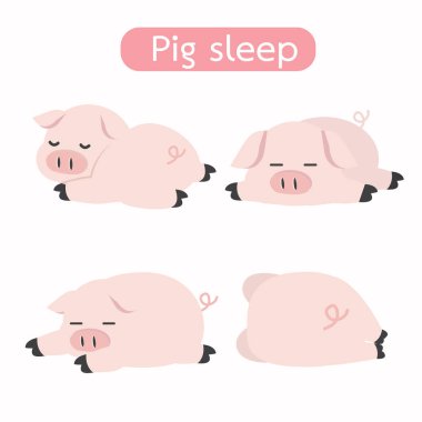 Sevimli uyuyan domuz Karikatür Vektör seti