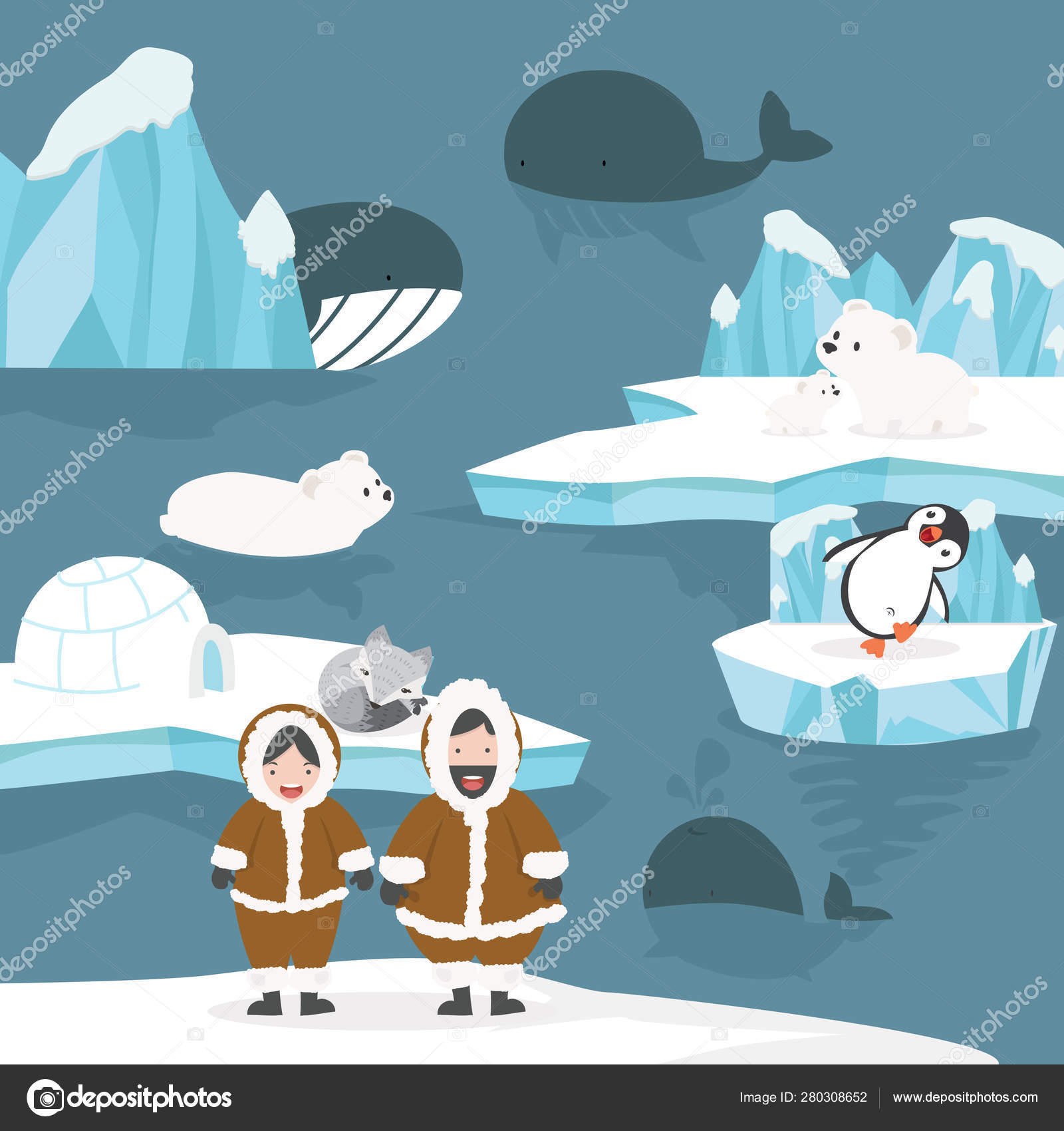 Dyr Arktiske Karikaturer stockvektor © focus_bell@hotmail.co.th #280308652, image size:1600x1700