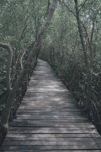 Μακρά Ξύλινη Γέφυρα Διαδρόμου Στο Δάσος — Φωτογραφία Αρχείου
