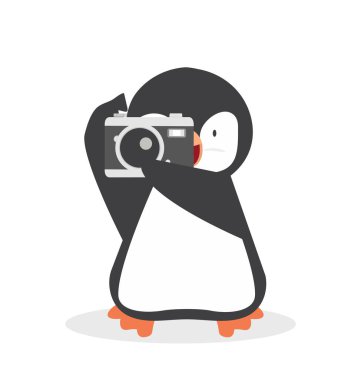 bir kamera ile sevimli penguen