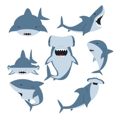 Beyaz köpekbalığı ve Hammerhead köpekbalığı vektör seti