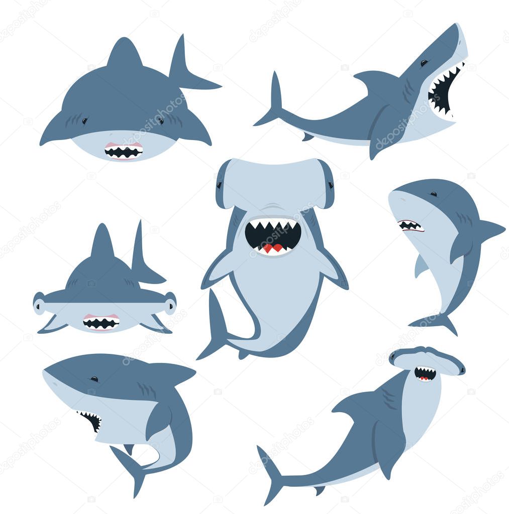White shark and Hammerhead shark vector set