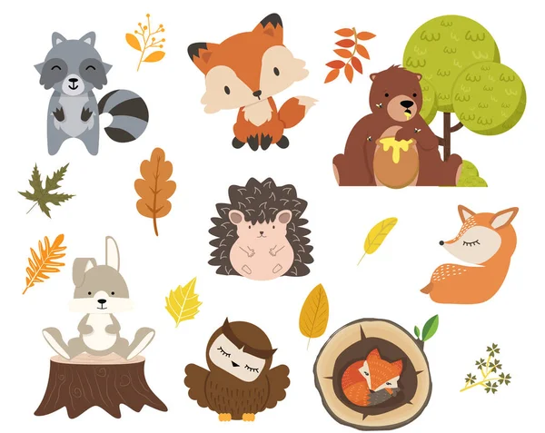 Floresta Bonito Bosque Animais Desenho Animado Conjunto Caracteres —  Vetores de Stock