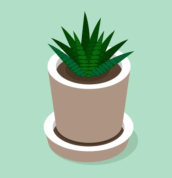 Planta Vaso Estilo Isométrico — Vetor de Stock