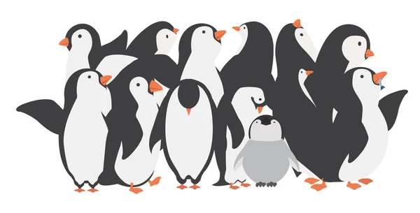 Feliz Pingüino Personajes Familia Diferentes Poses Conjunto — Vector de stock