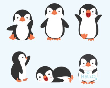Şirin küçük penguen vektör koleksiyonu yapıyor