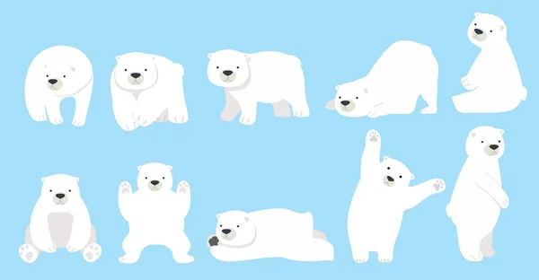 Roztomilý Polární Medvěd Legrační Postava Kreslený Set — Stockový vektor