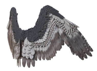 Beyaz Arka Plan 3d Rendered Gri Fantasy Angel Wings - 3d İllüstrasyon