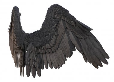 Beyaz Arka Plan 3d Rendered Siyah Fantasy Angel Wings - 3d İllüstrasyon