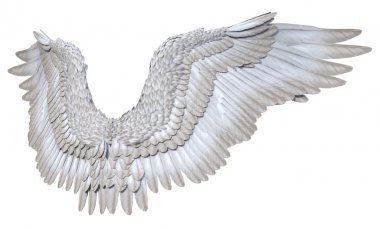 Beyaz Arka Plan 3d Rendered Beyaz Fantasy Angel Wings - 3d İllüstrasyon