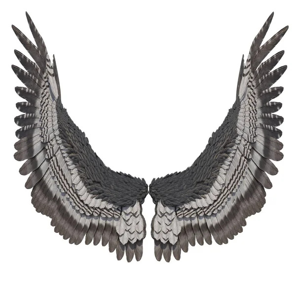 渲染灰色幻想天使翅膀在白色背景 — 图库照片