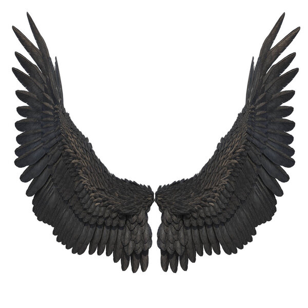 3D Rendered Black Fantasy Angel Wings on White Background - 3D Illustration