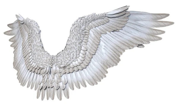Rendered White Fantasy Angel Wings White Background Illustration — Stock Photo, Image