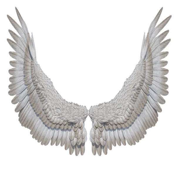 渲染白色幻想天使翅膀在白色背景 — 图库照片