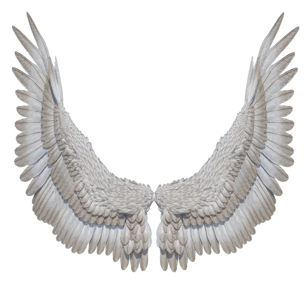 Beyaz Arka Plan 3d Rendered Beyaz Fantasy Angel Wings - 3d İllüstrasyon