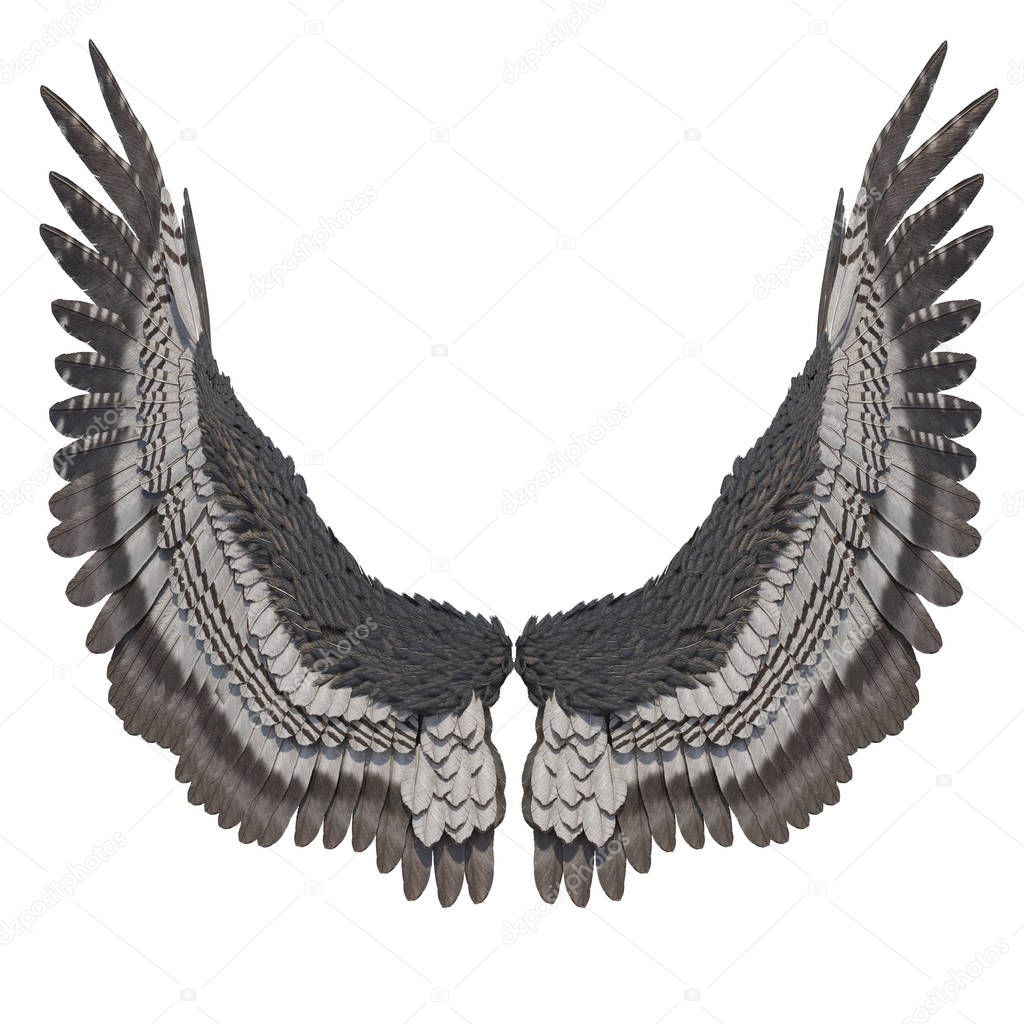 3D Rendered Grey Fantasy Angel Wings on White Background - 3D Illustration