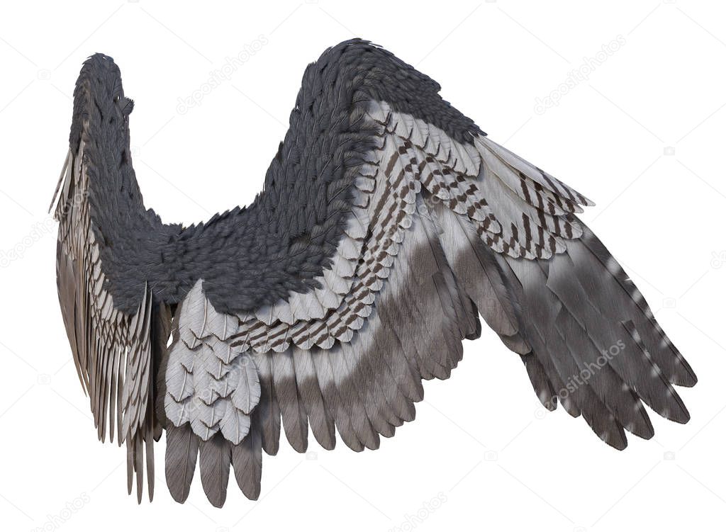 3D Rendered Grey Fantasy Angel Wings on White Background - 3D Illustration