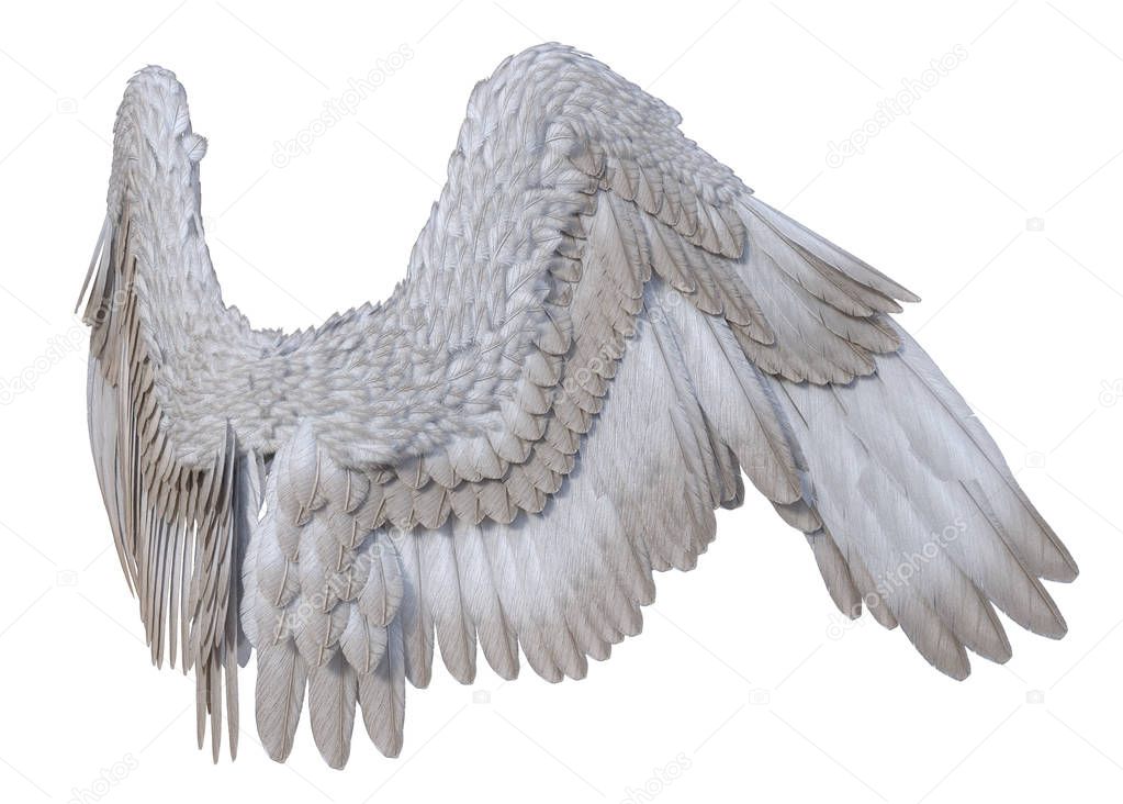 3D Rendered White Fantasy Angel Wings on White Background - 3D Illustration