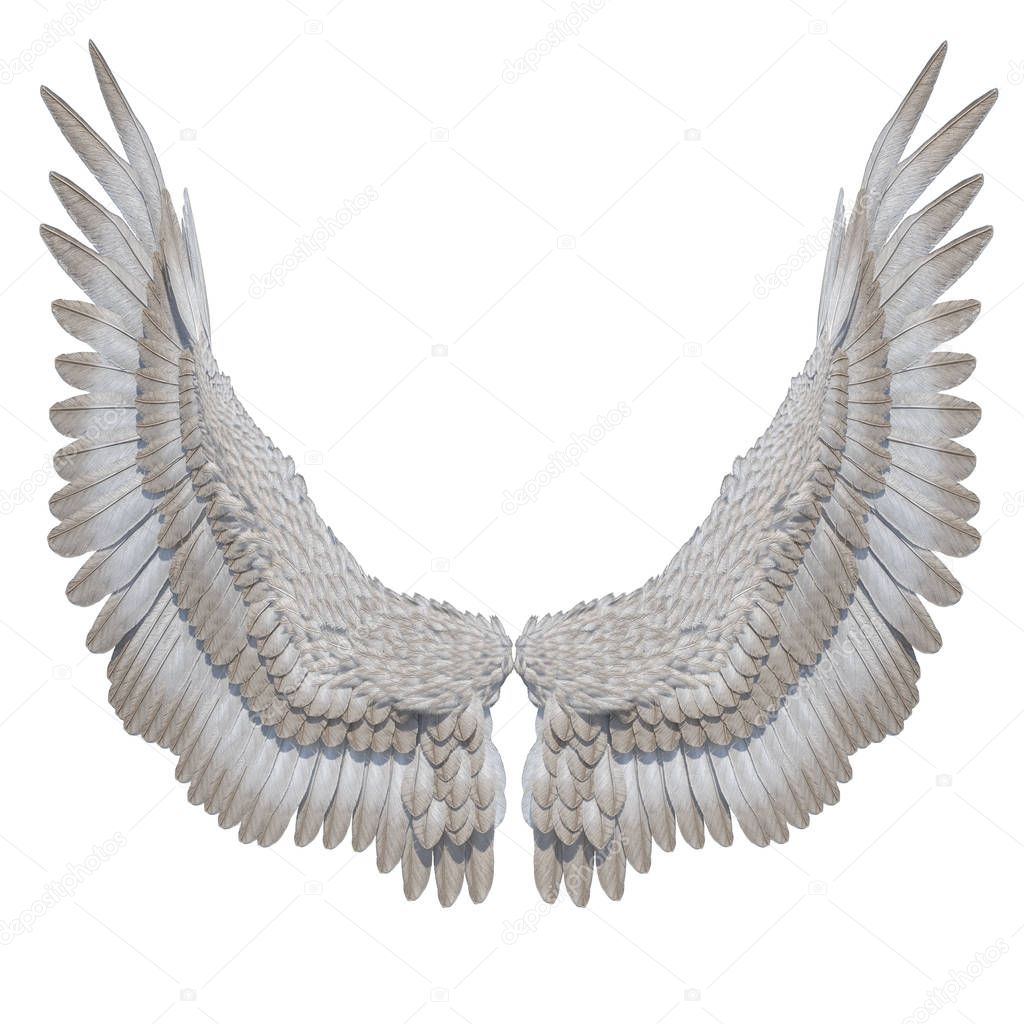 3D Rendered White Fantasy Angel Wings on White Background - 3D Illustration