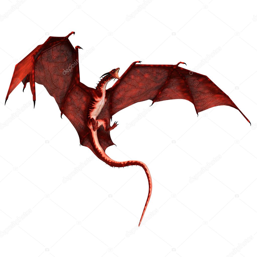 3D Rendered Fantasy Dragon Isolated on White Background - 3D Illustration