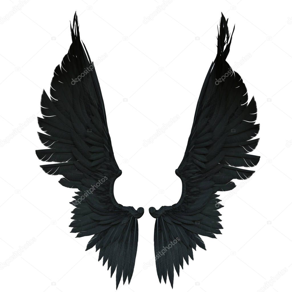 3D Rendered Black Fantasy Angel Wings Isolated On White Background - 3D Illustration