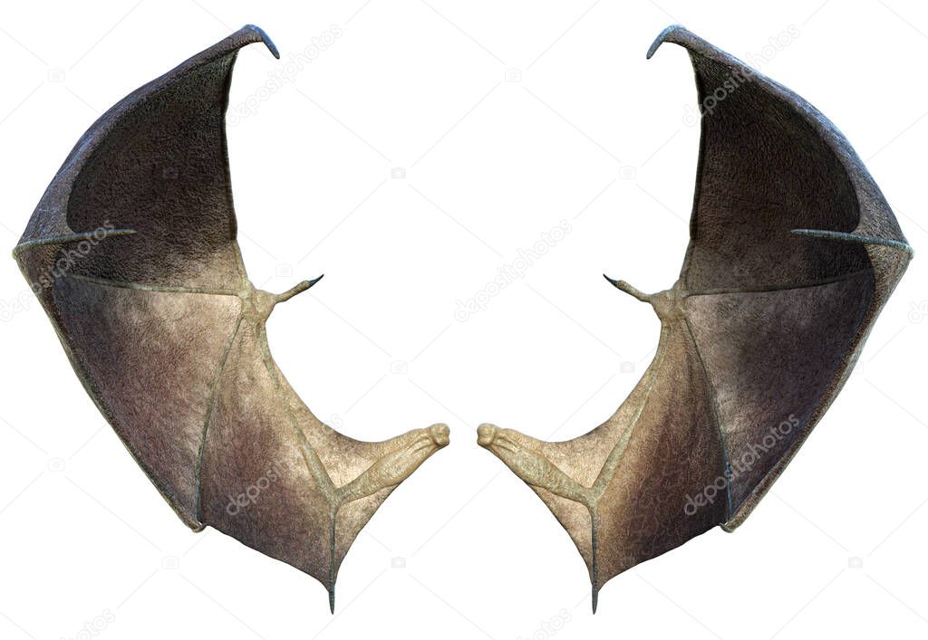3D Rendered Devil Wings Isolated On White Background - 3D Illustration