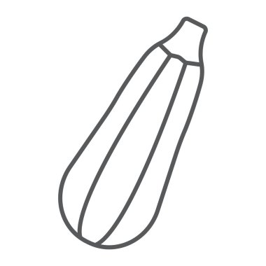 Kabak ince çizgi simgesi, sebze ve sebze iliği, Vejetaryen işareti, vektör grafikleri, Doğrusal model beyaz bir arka planda eps 10.